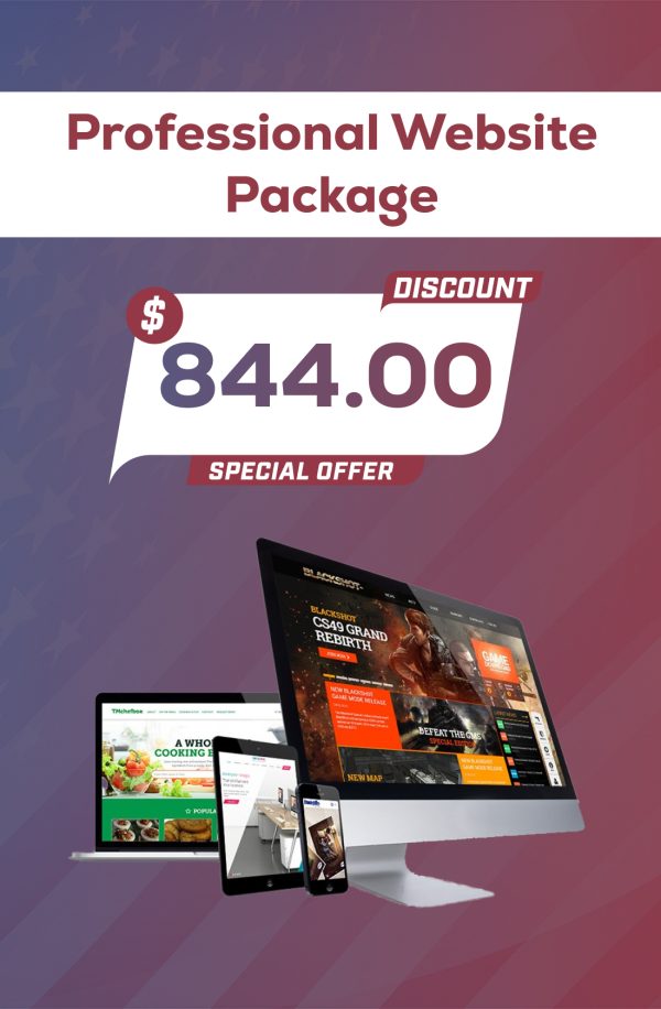 Professional Website Package