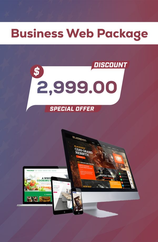 Business Web Package
